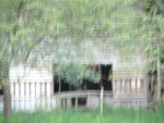 DSCF0093