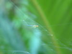 20030708-192922