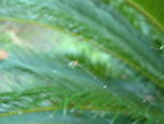 20030708-193235