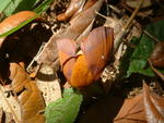 20030412-104749