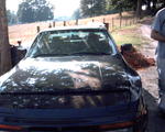 CNXT0017