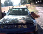 CNXT0019