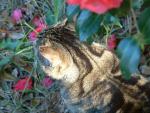 Maurice
20030115-144356