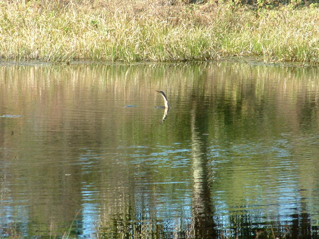 Loch Middle with Nessie
20030115-144658