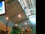 dscf0012.jpg