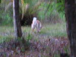 IMG_0464.JPG