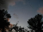 IMG_0612.JPG