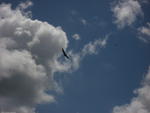 IMG_0847.JPG