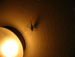 IMG_2283.JPG