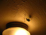 IMG_2284.JPG