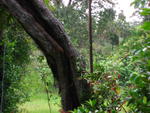 IMG_2857.JPG