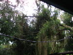 IMG_2858.JPG