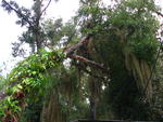 IMG_2862.JPG