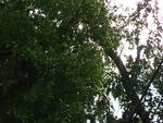IMG_2864.JPG