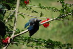 DSC_0069.JPG