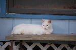 DSC_0071.JPG