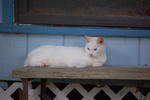 DSC_0072.JPG