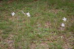 DSC_0076.JPG