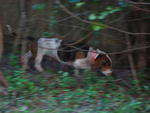 IMG_3425.JPG