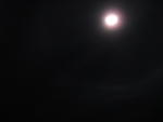 IMG_3691.JPG