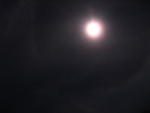 IMG_3695.JPG