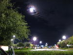 IMG_3725.JPG