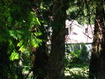 IMG_3729.JPG