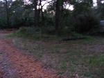 IMG_4379.JPG