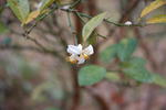 DSC_0413.JPG