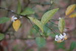 DSC_0414.JPG