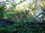 IMG_3943.JPG