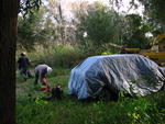 IMG_4155.JPG
