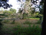 IMG_4156.JPG