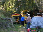 IMG_4171.JPG