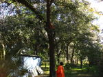 IMG_4176.JPG