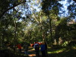 IMG_4187.JPG