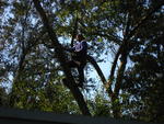 IMG_4204.JPG
