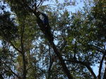 IMG_4213.JPG