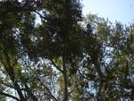 IMG_4216.JPG