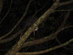 IMG_4231.JPG
