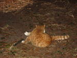 IMG_4234.JPG