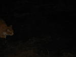 IMG_4842.JPG