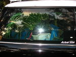 IMG_4079.JPG