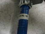 IMG_4572.JPG
