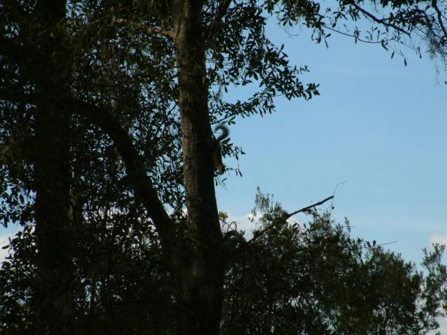 20030126-152954