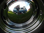 melbourne show 2008, and crusty dcab