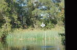 DSC_2031.JPG