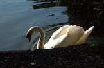 DSC_2091.JPG