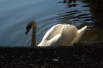 DSC_2092.JPG