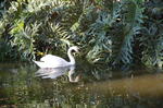 DSC_2095.JPG